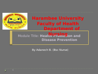 H. promotion 2.pptx